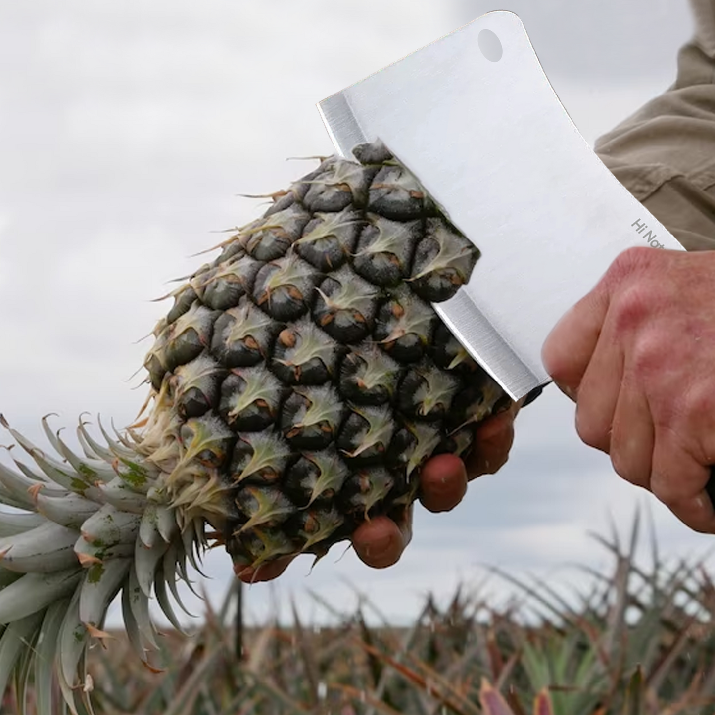 Hakmessen RVS | Chopping Hakmes, Hakbijl, Koksmes