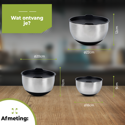 RVS Mengkommen set 3 met Luchtdichte Deksel
